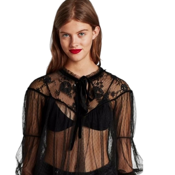 Zara Woman Embroidered sheer Tulle Top Witchy velvet Bow Black Size L - Picture 4 of 16